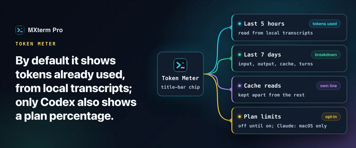 Diagram: a Token Meter chip in the title bar branching into last 5 hours, last 7 days, cache reads and opt in plan limits