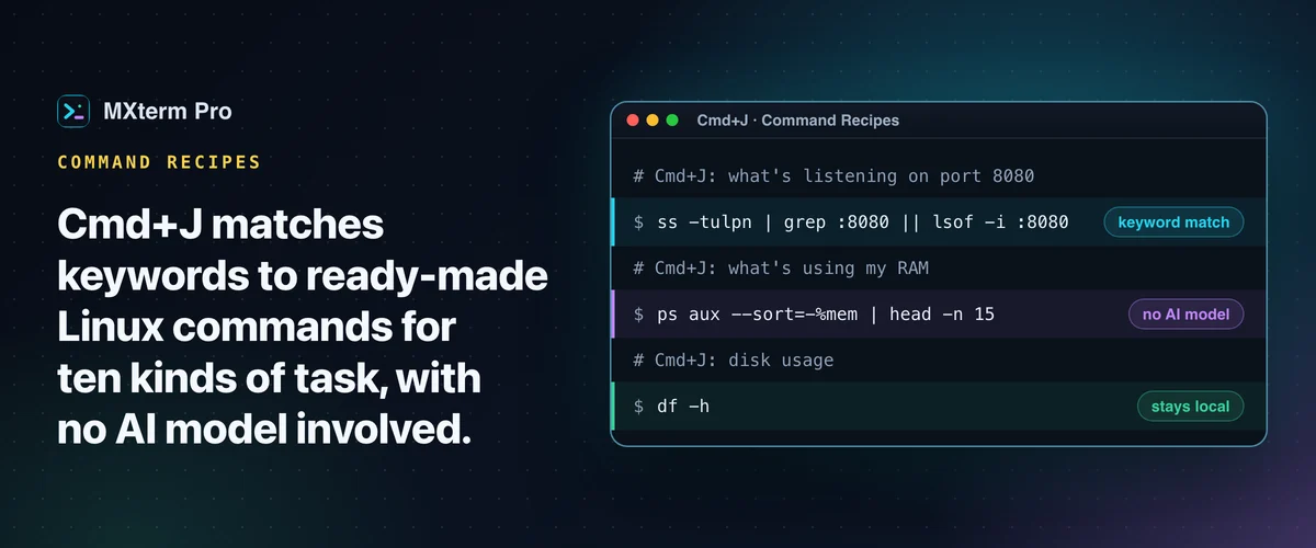 Terminal showing Cmd+J command recipes for port 8080, RAM use and disk usage, tagged keyword match, no AI model and stays local